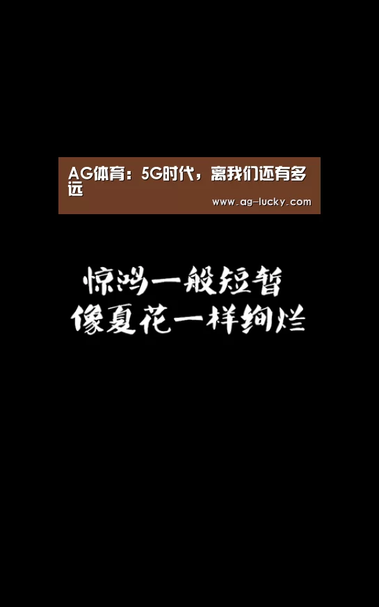 AG篮球