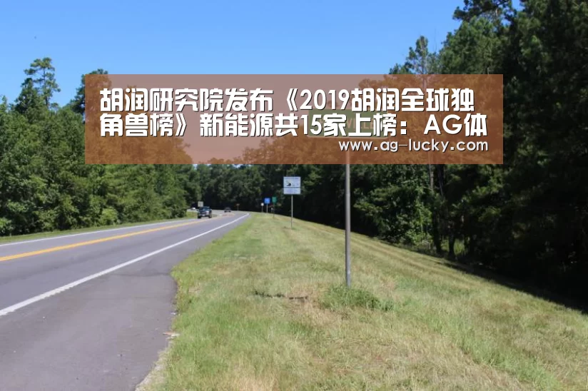 胡润研究院发布《2019胡润全球独角兽榜》新能源共15家上榜:AG体育(图1) AG篮球
