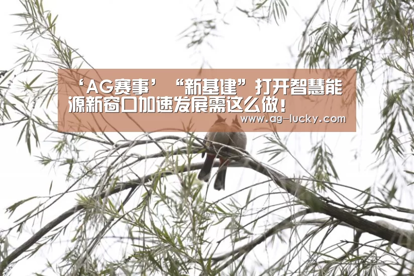 ‘AG赛事’“新基建”打开智慧能源新窗口加速发展需这么做！