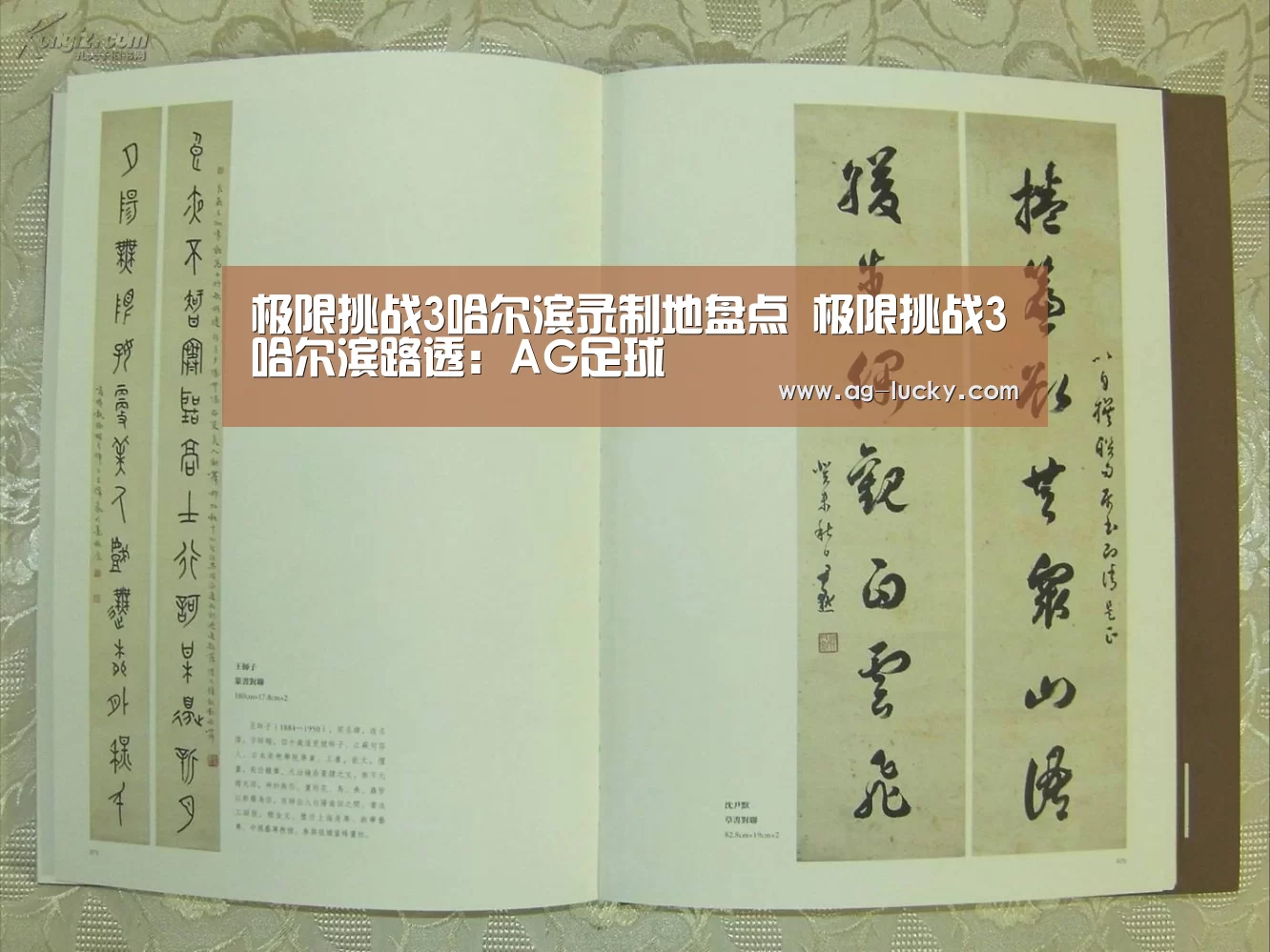 极限挑战3哈尔滨录制地盘点 极限挑战3哈尔滨路透:AG足球(图1) AG体育